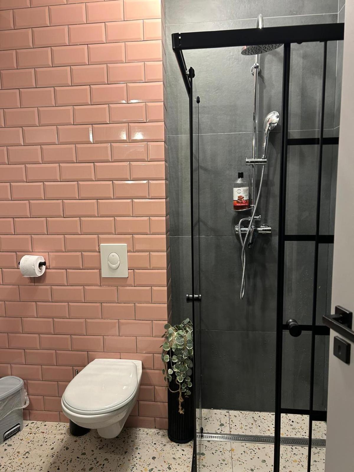 Becca'S Downtown Apartment With Private Parking Oradea Exterior photo